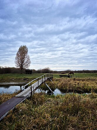 Autumn bridge over the Stohid River, Berehove, Ukraine