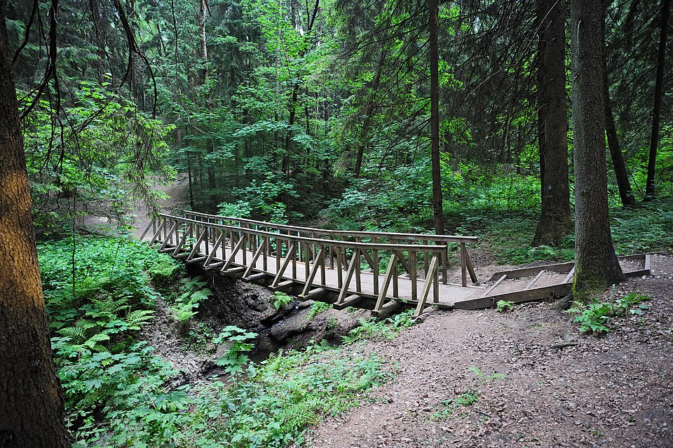 Bridge over a brook in Zelenograd city park