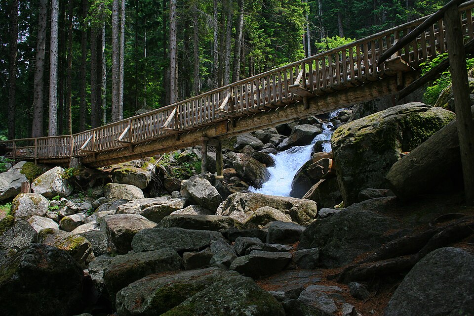 Wooden bridge in Parco Naturale Adamello Brenta near Pinzolo in South Tyrol in Italy,Europe
